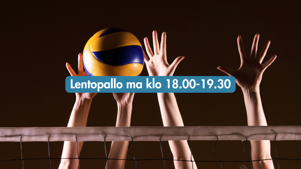 lentopallo