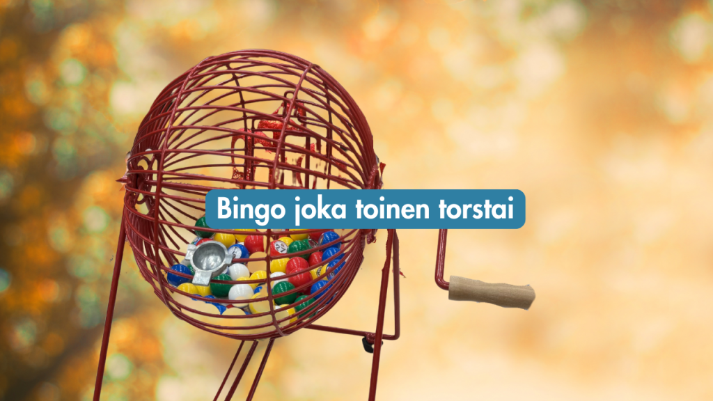 bingo (3)