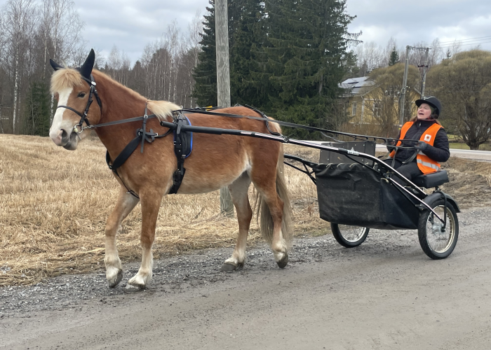 Hevosvoimia Lusinraitilla